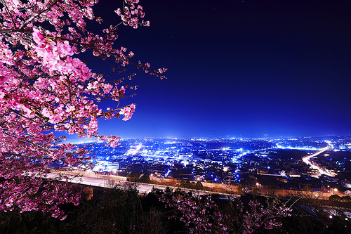 銀河宇宙
