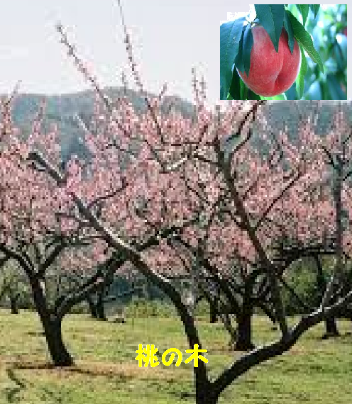 イメージ画像
